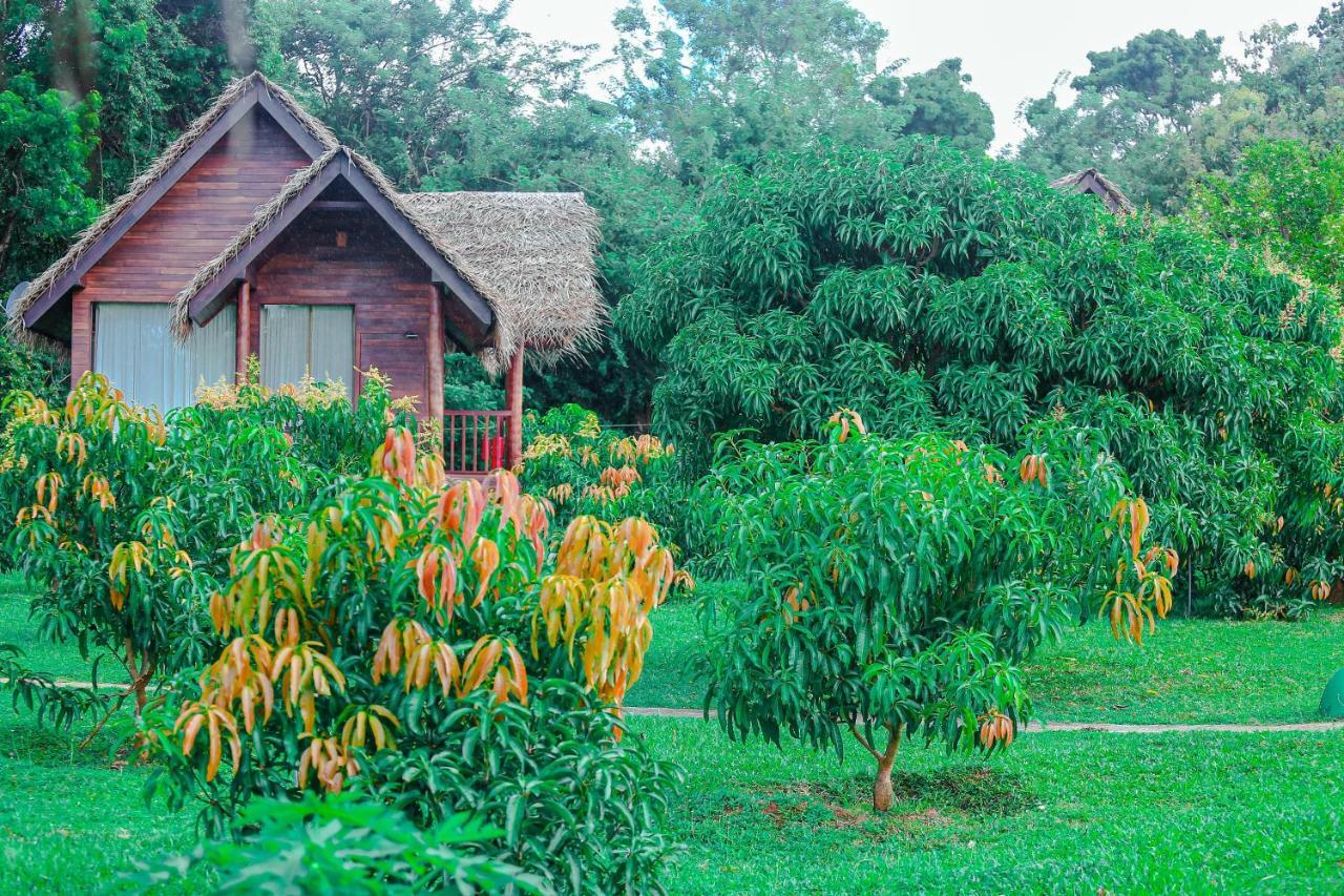 Sigiriya Water Cottage Esterno foto